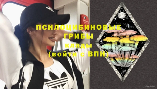 гашик Алзамай