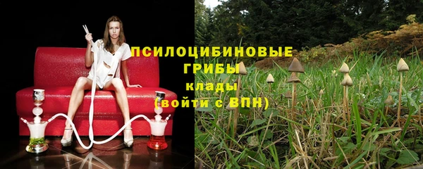 PSILOCYBIN Абаза