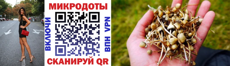 сколько стоит  Черемхово  Галлюциногенные грибы Psilocybine cubensis 
