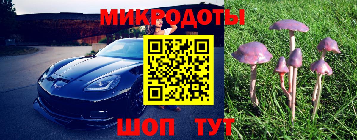 Галлюциногенные грибы Psilocybe  Вход с VPN  Черемхово 